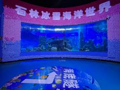 -石林冰雪海洋世界