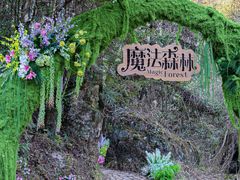 -龙湾潭国家森林公园