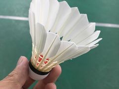 -羽跃羽毛球馆(民星路店)