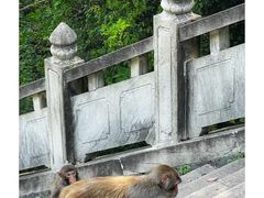 -苏州上方山国家森林公园