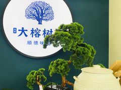 -大榕树下顺德菜(融创茂店)