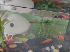 -三旗百汇商品城