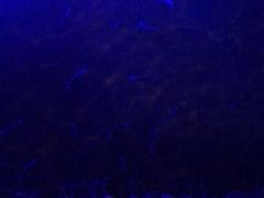 -宝丽金大酒店·洗浴中心