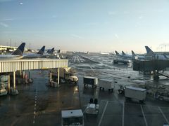 -纽瓦克自由国际机场