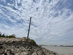 -上海滨江森林公园
