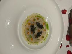 -蝶舍·MAISON PAPILLON