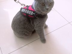-风云再起游乐汇(皇城恒隆广场店)