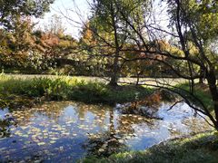 -花开海上生态园