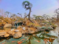 -罗红摄影艺术馆