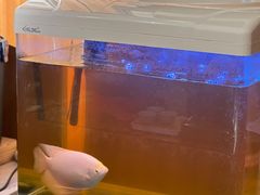 -太清凉茶糖水(前海店)