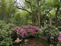 -杭州黄龙洞