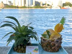 -苏小糖(鼓浪屿三丘田花园店)