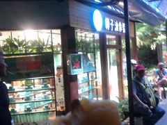 -呀诺达热带雨林
