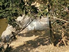 -泉州海丝野生动物世界