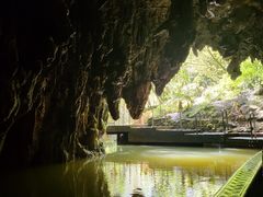 -怀托摩萤火虫洞