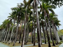 -燕晗山郊野公园