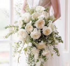 -索菲亚摄影会所