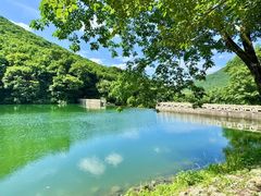 -龙道沟景区