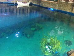 -华夏文旅海洋公园