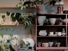 -自由生长植物工作室(深港花卉中心店)