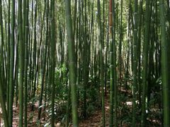 -苏州河梦清园环保主题公园