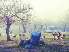 -西安秦岭野生动物园