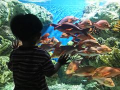 -福州罗源湾海洋世界旅游区