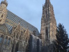 -斯蒂芬主教座堂(Stephansdom)