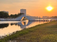 -春花秋色城市公园