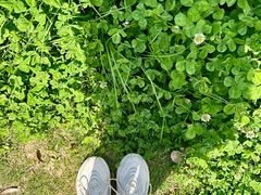 -南京市江宁方山