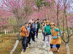 -常德桃花源景区