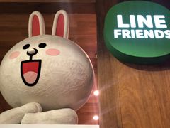 -line friends(明洞旗舰店)