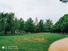 -中央公园(苏州工业园区)
