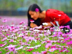 -龙头岩(Dragon Head Rock)