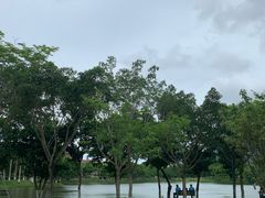 -北京师范大学(珠海校区)