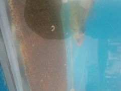 -港畔赶海蒸汽海鲜烧烤自助(仙螺岛店)