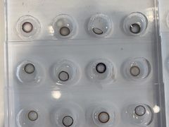 -miomi米欧米美瞳隐形眼镜(新世界大丸百货店)
