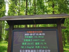 -黄海国家森林公园