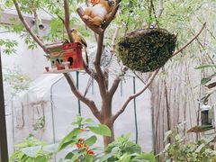 -阿莉餐厅(枣阳路店)