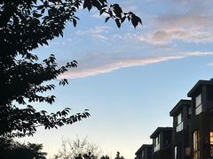 -三叶草爱尔兰咖啡吧