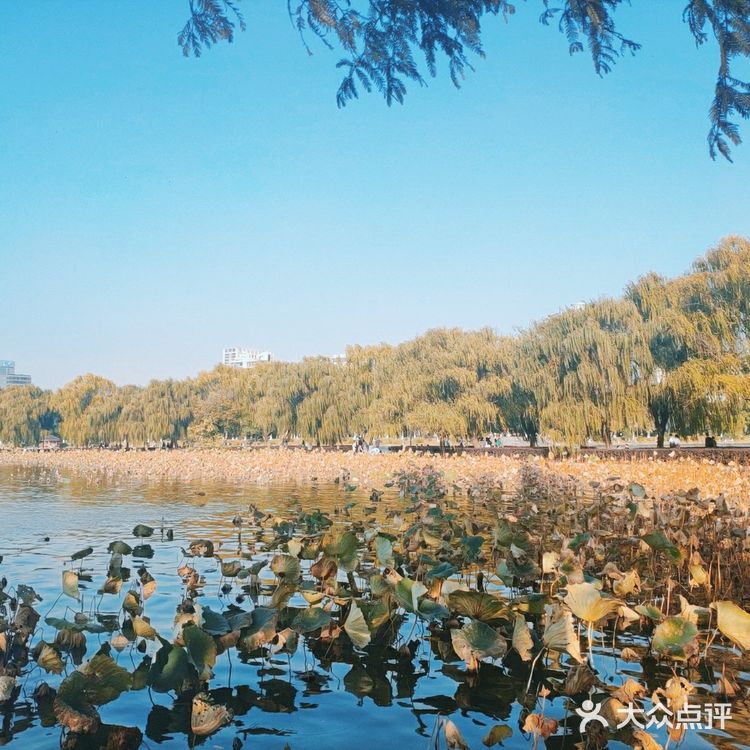 烈士公园原来可以这么美[亲亲]