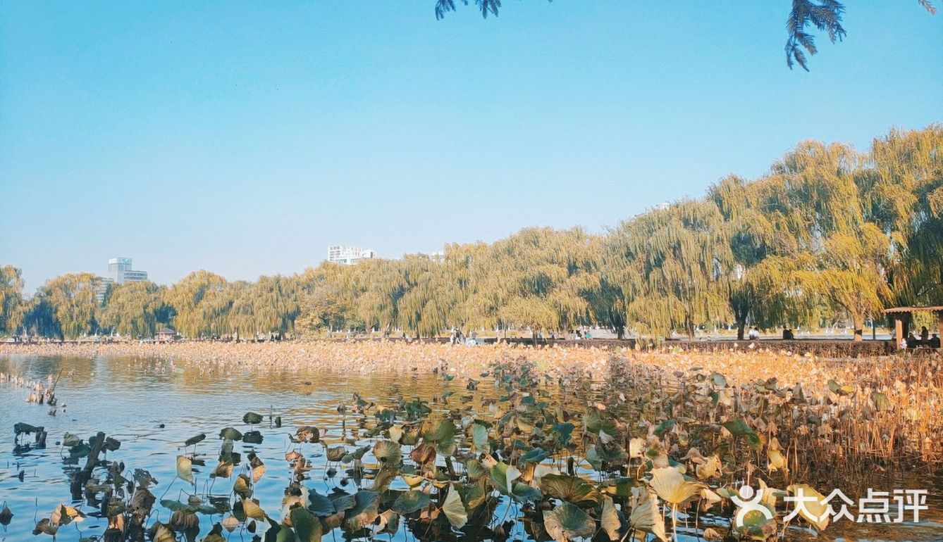 烈士公园原来可以这么美[亲亲]