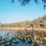 烈士公园原来可以这么美[亲亲]