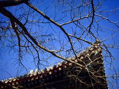 -红螺寺