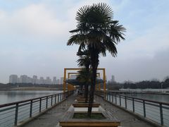 -白塘生态植物园