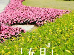 -文华公园(禅城区)