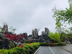 -千岛湖石林