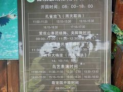 -西双版纳原始森林公园