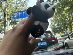 -粤珍轩.创始店.始于2001(含光门店)