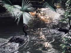 -广州长隆野生动物世界
